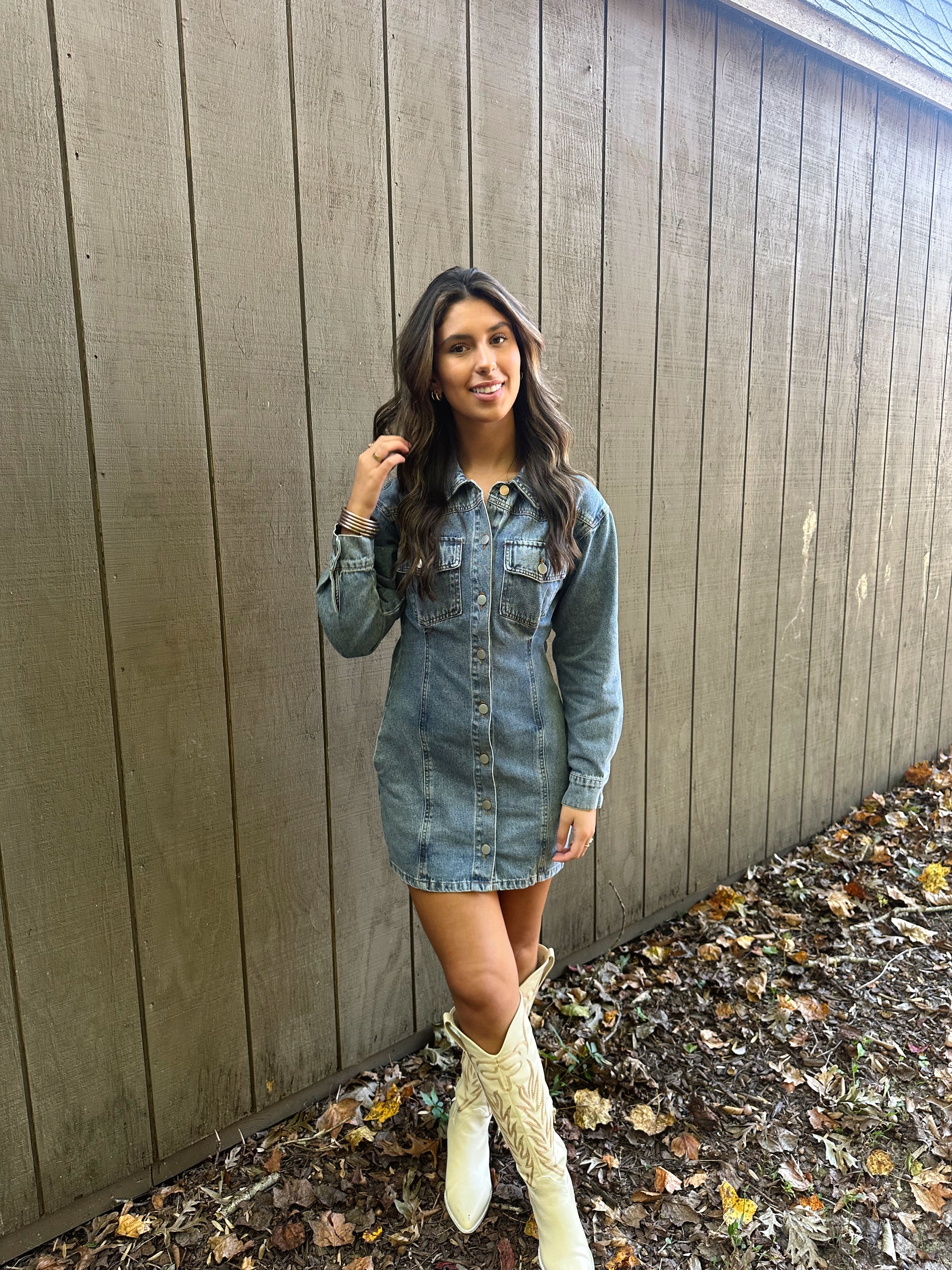 Aspen Denim Dress