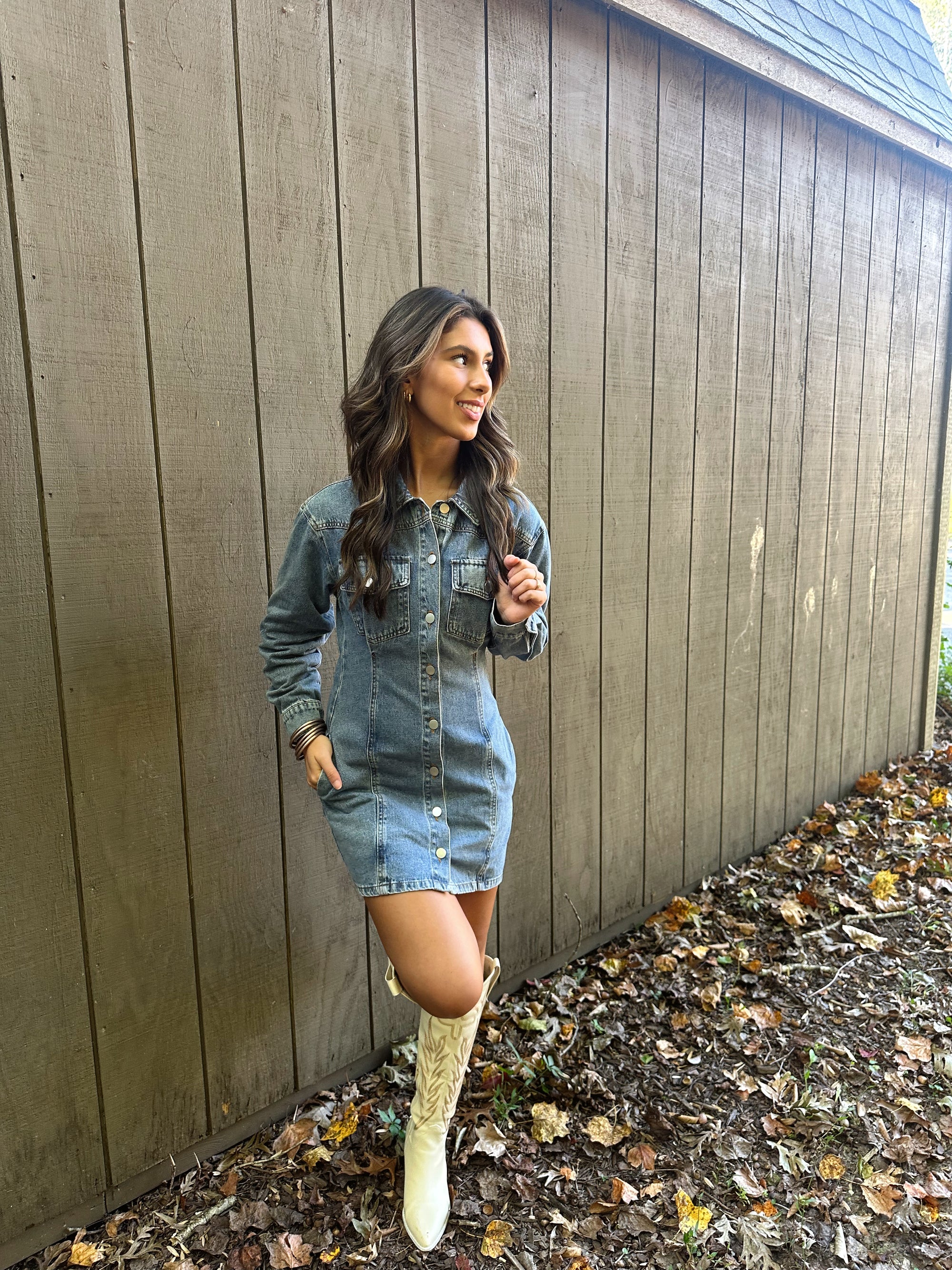 Aspen Denim Dress