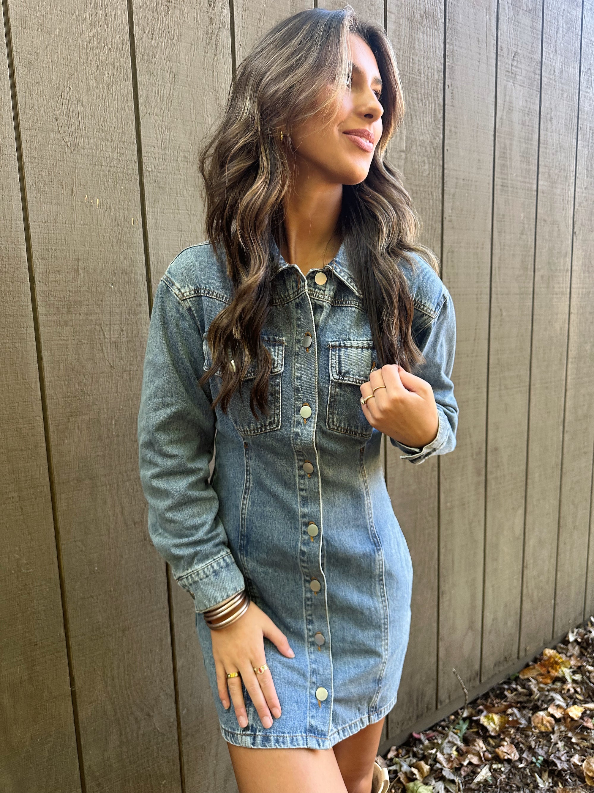 Aspen Denim Dress