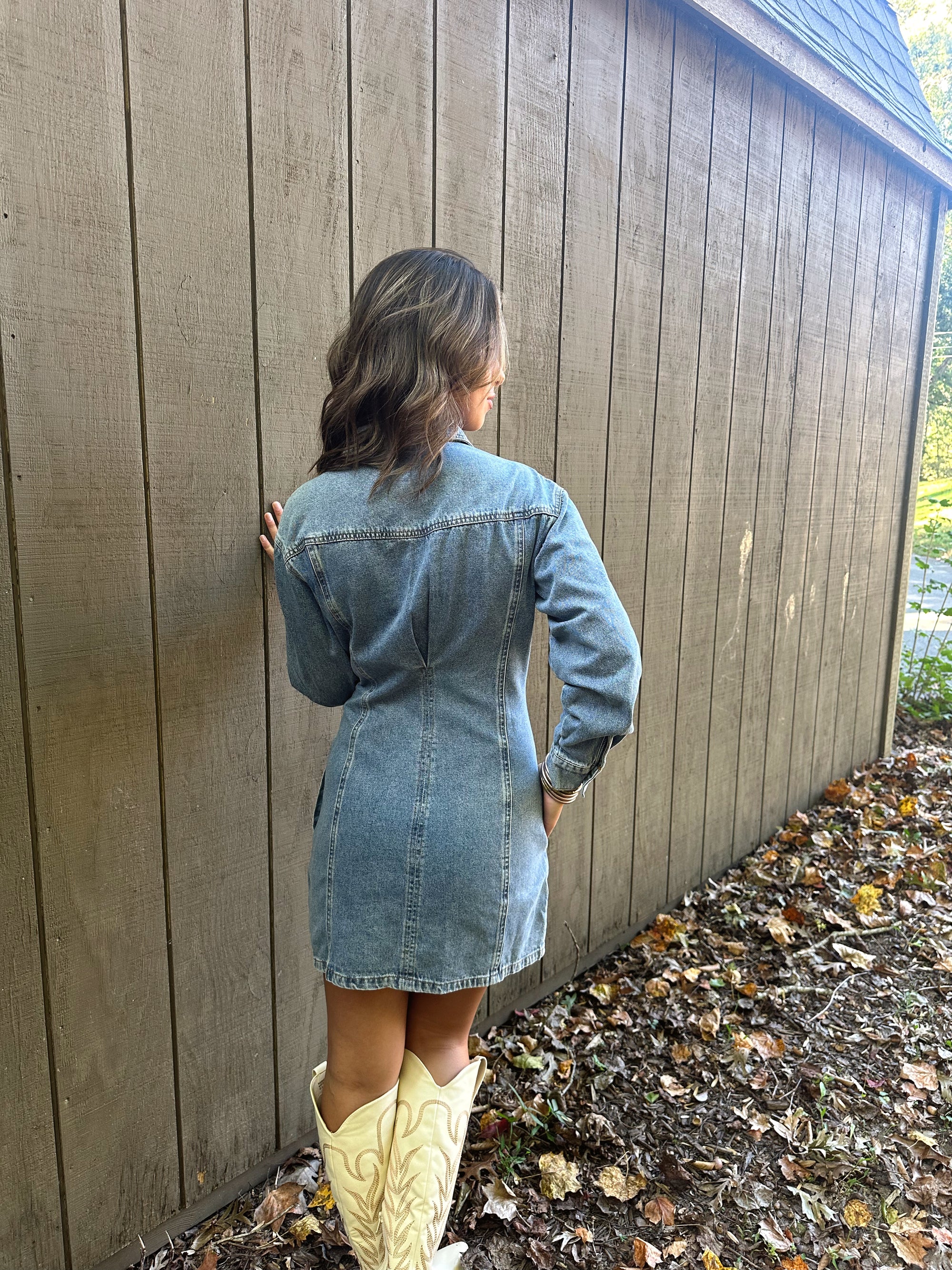 Aspen Denim Dress