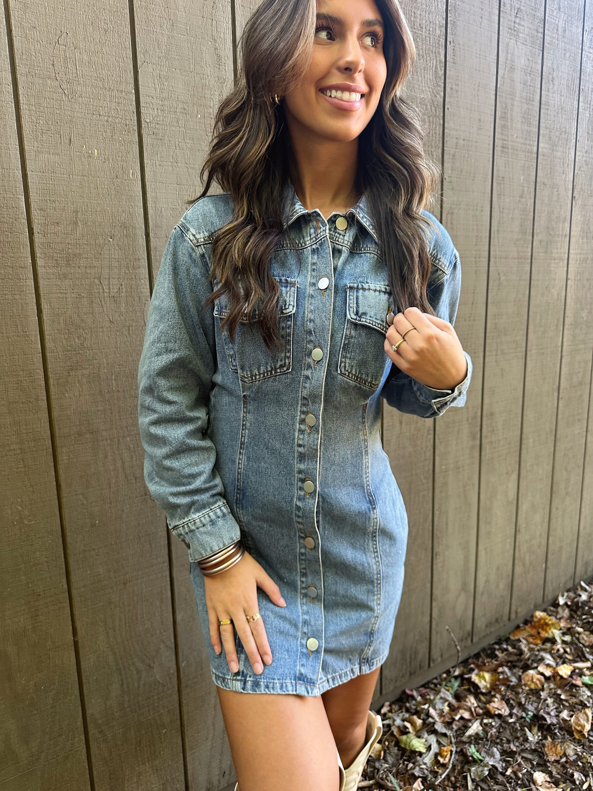Aspen Denim Dress