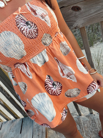 Sunset Seashell Set