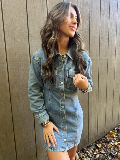 Aspen Denim Dress